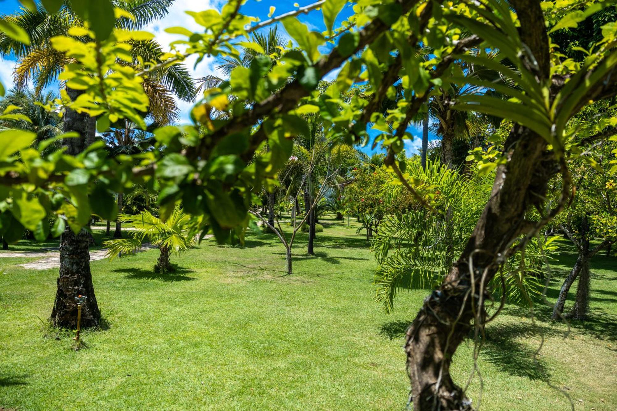 Pousada Aldeia Beijupira Porto de Pedras Bagian luar foto
